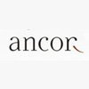 Анкор, кадровый холдинг