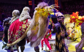 В Омском государственном цирке продолжается шоу мирового уровня «Песчаная сказка» Гии Эрадзе