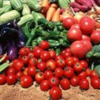 В Омске зафиксировано сезонное удешевление овощной продукции