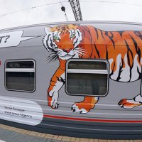 Через станцию Омск-Пассажирский пройдут два агитационных поезда в поддержку амурских тигров и дальневосточных леопардов