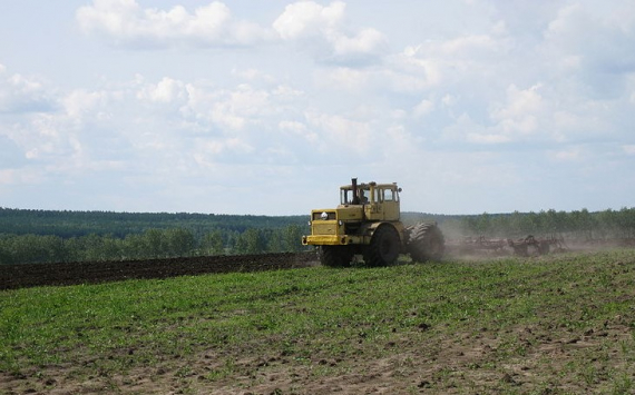 В Омской области на поддержку аграриев направят 1,5 млрд рублей