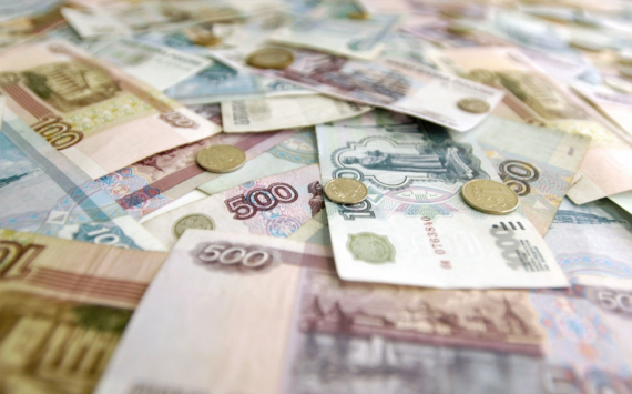 В Омской области самозанятые за I квартал заплатили на 68% налогов больше, чем за весь 2020 год