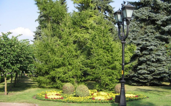 В Омске проведут масштабное обновление городских парков